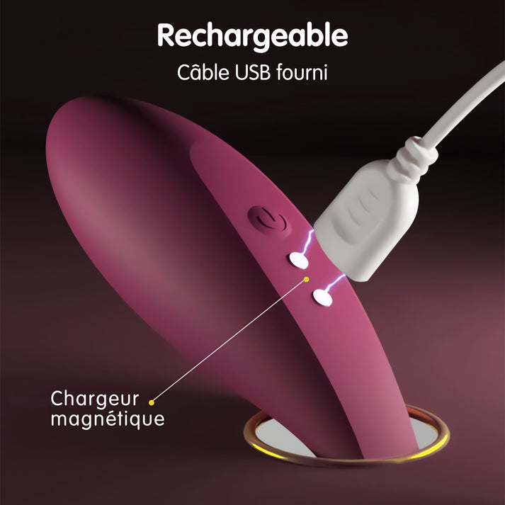 requ in love vibromasseur pour culotte telecommande rechargeable