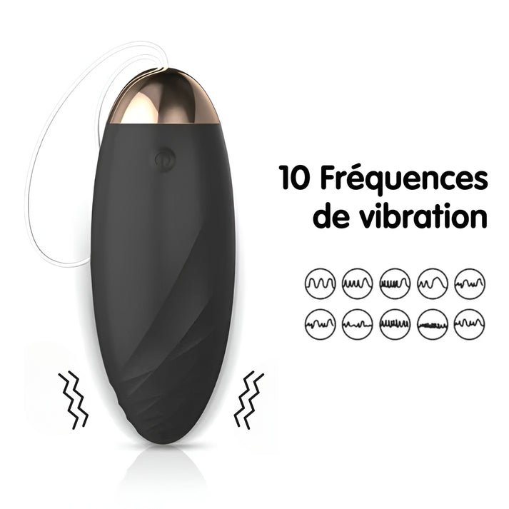 zoeuf l oeuf vibrant telecommande 10 frequences de vibration