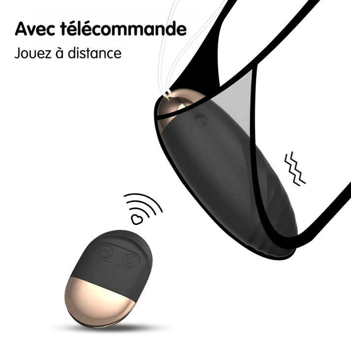 zoeuf l oeuf vibrant telecommande a distance